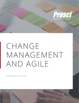 Agile-Executive-Summary-ebook-Final